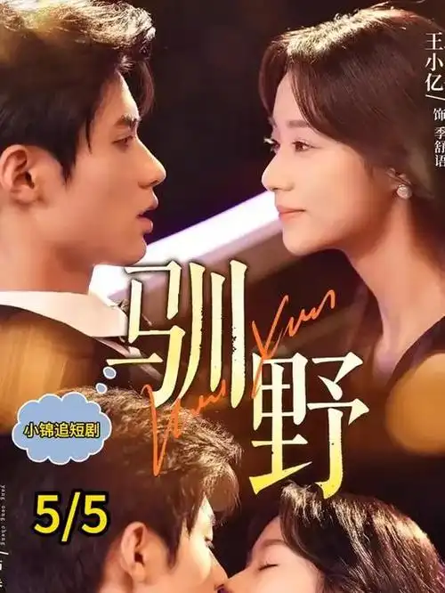 退婚后我成了集团总裁 短剧